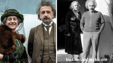 elsa einstein
